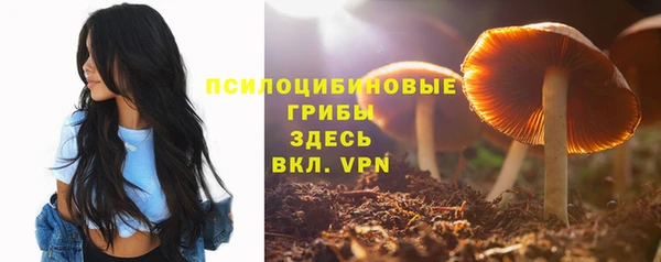 герыч Саяногорск