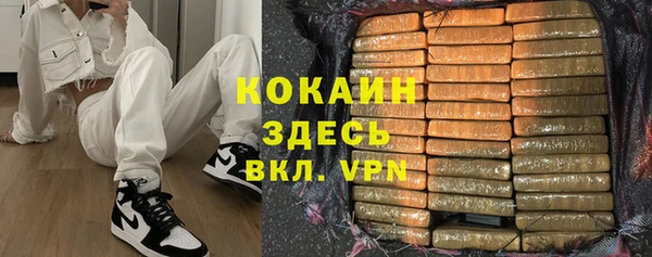 ГАЛЛЮЦИНОГЕННЫЕ ГРИБЫ Сатка