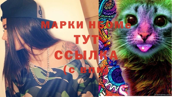 ГАЛЛЮЦИНОГЕННЫЕ ГРИБЫ Сатка